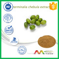 Best Price High quality 100% natural Medicine Terminalia Extract/Terminalia chebula Extract